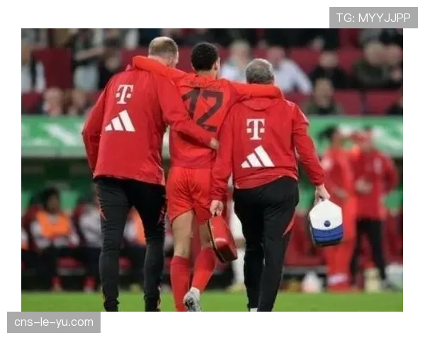 斯图加特遭遇伤病潮,六名球员将缺席与拜仁的关键对决 斯图加特遭遇伤病潮,六名球员将缺席与拜仁的关键对决