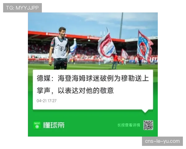 海登海姆保级战球迷不离弃，主场掌声致敬球队